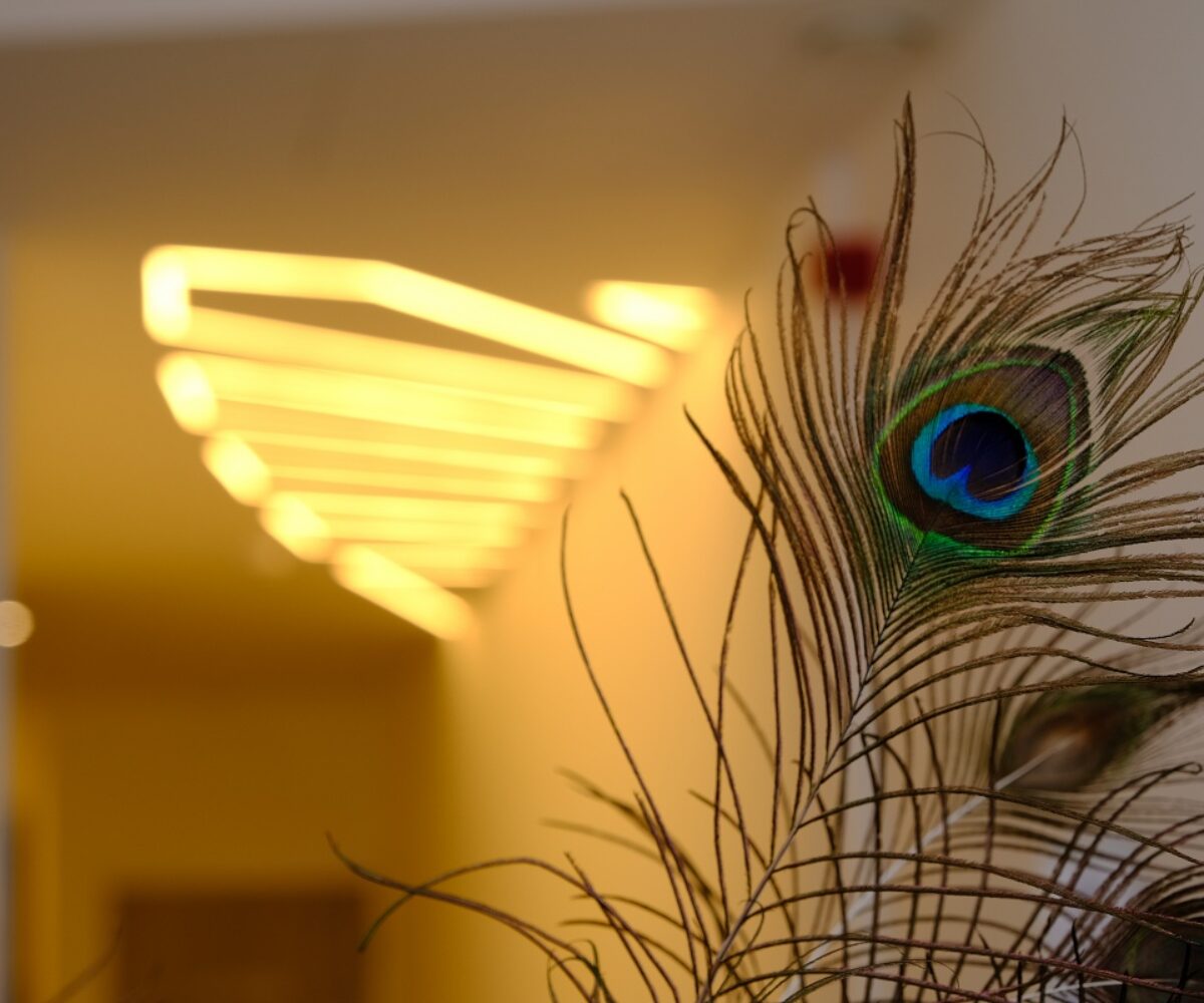 Practice Gallery Image - Manor Dental Practice